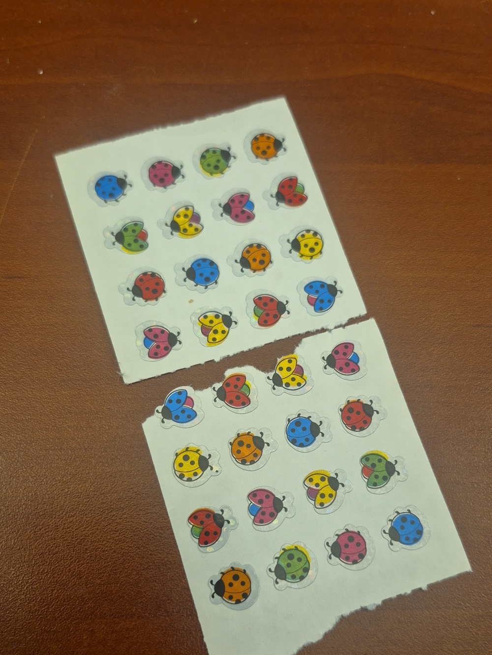 Colorful Ladybug Sticker Sheets - Kids Accessories - Assorted Colors